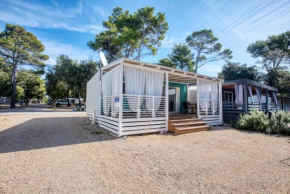 Apartments with a parking space Biograd na Moru, Biograd - 18928